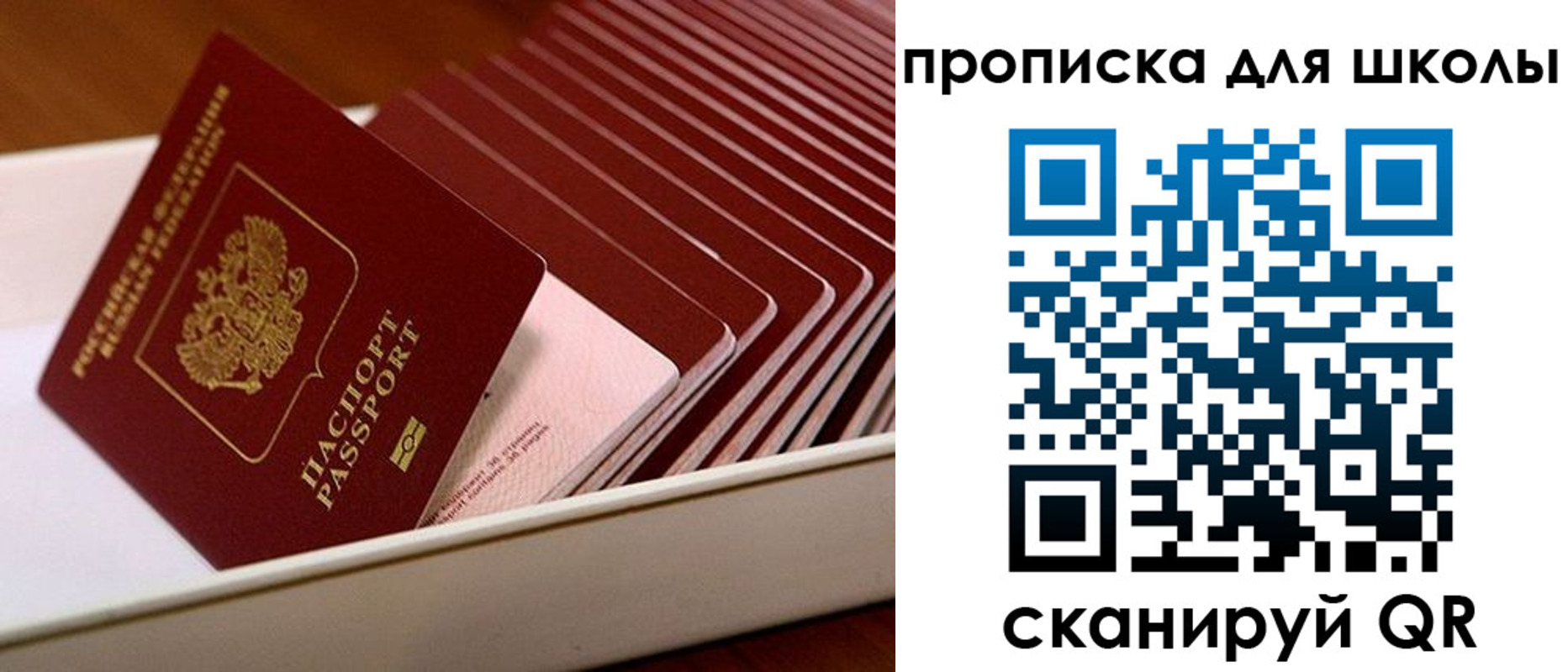 временная регистрация гарантия в Кашине